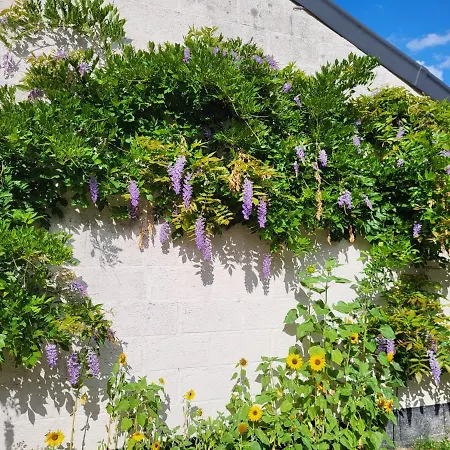 Heerlijk 'la Bienvenue' In Venlo, Limburg Apartmán *