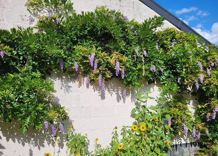 Heerlijk 'la Bienvenue' In Venlo, Limburg Lejlighed *